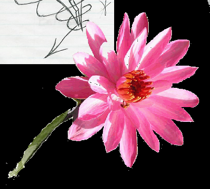 FLOWERY BULLSHiT - FLOWERYBULLSHiT.COM